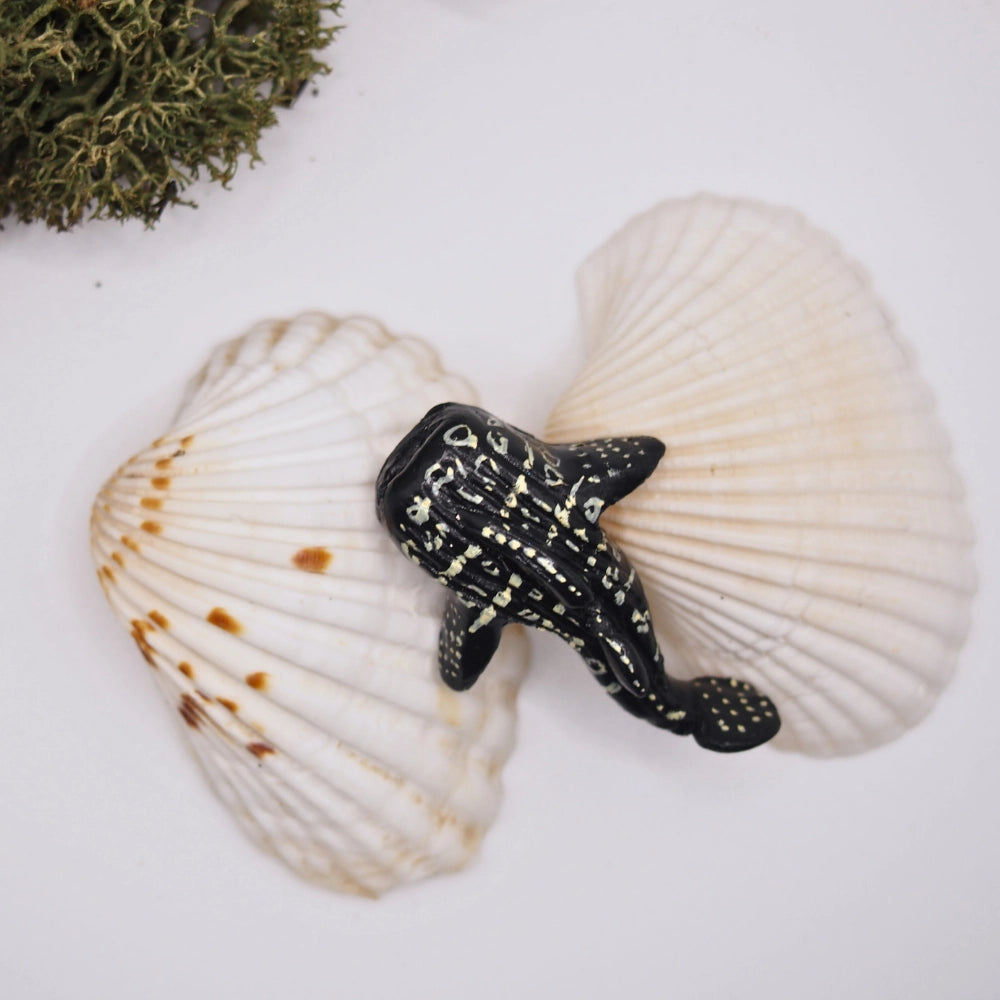 Pins requin baleine - Océane