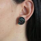 Puces spirale marine - Océane